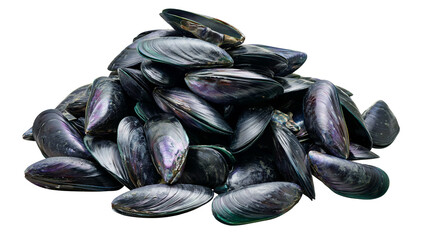 Fresh raw blue mussels piled in a heap © Lubos