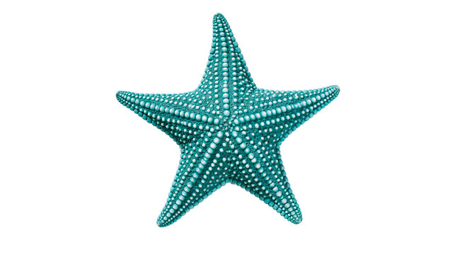 Teal blue textured starfish with bumpy surface and five pointed arms