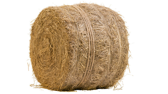 Large round golden dry hay bale tied with twine
