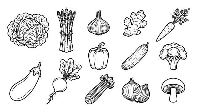 Vegetable Illustration Set with Cabbage, Asparagus, and Garlic