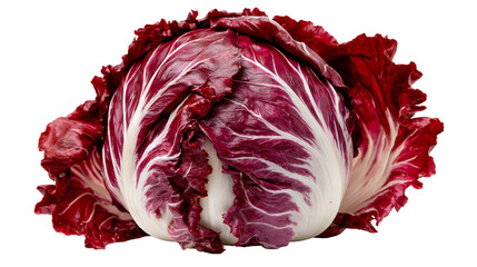 Fototapeta premium Fresh whole radicchio head with deep red leaves and white veins