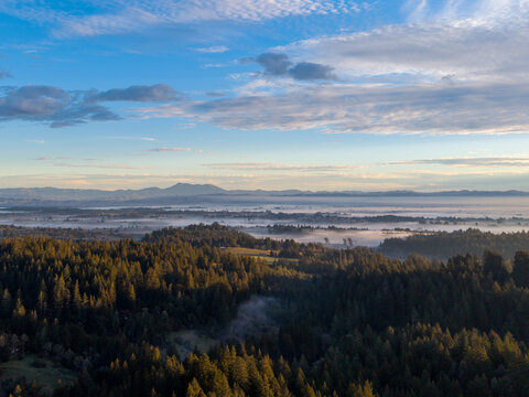 Aerial view of sunrise over dense evergreen forests and morning mist covering the valley floor in Sonoma County, California, United States.