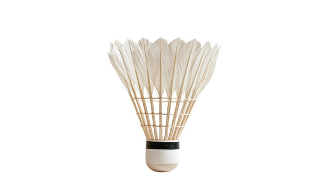White feathered badminton shuttlecock with cork base and black stripe