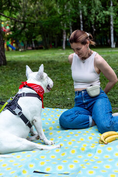Happy picnic with bull terrier in park - playful young woman enjoying summer outdoor lifestyle with her dog