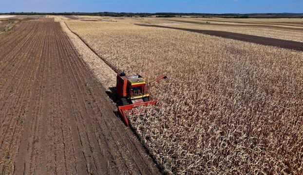 Aerial view of a combine harvester working in a dry corn field during the autumn harvest in Alibunar, Vojvodina, Serbia.