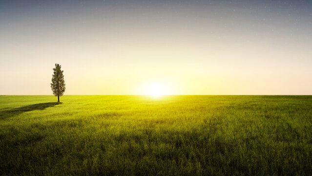 A solitary tree standing in a vast green meadow under a twilight sky with a bright setting sun on the horizon. Morning scene background