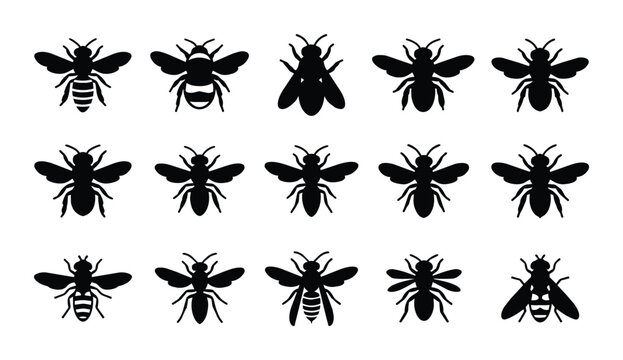 Diverse Bee Silhouettes Collection, 15 Insect Icons for Nature and Apiary Designs, Black and White Vector Graphics