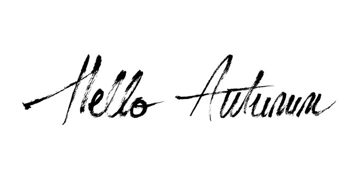 Hello Autumn Hand Drawn Calligraphy Text. Autumn vector lettering. Grunge brush stroke fall handwritten text for autumn cards, posters, invitations, social media.