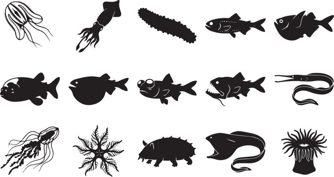 Set of black silhouette depicting deep sea bioluminescent marine animals, labeled with common names on a white background