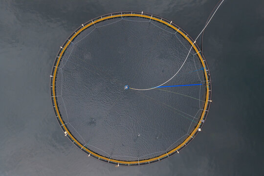 Aerial view of a circular fish farm pen floating in the deep blue water of a fjord in Liabygda, More og Romsdal, Norway.