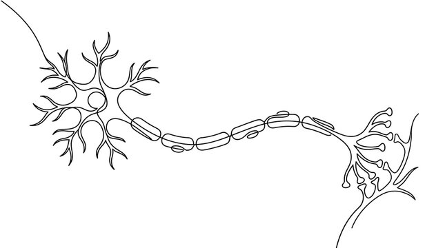 One line drawing of a neuron cell