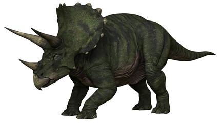 Green textured Triceratops dinosaur with three horns and large bony neck frill © Alex