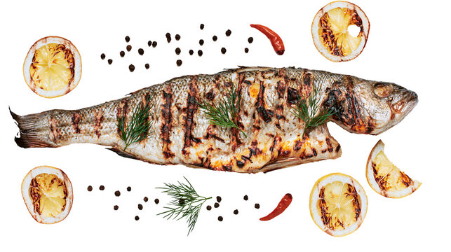 Grilled whole sea bass with charred lemon slices dill sprigs, and peppercorns