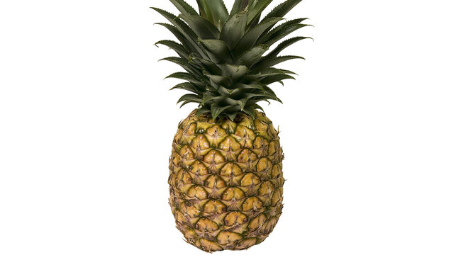 Fresh whole ripe pineapple with green spiky leaves and textured golden yellow skin