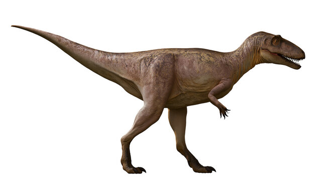 Allosaurus theropod dinosaur with brown textured skin and sharp teeth