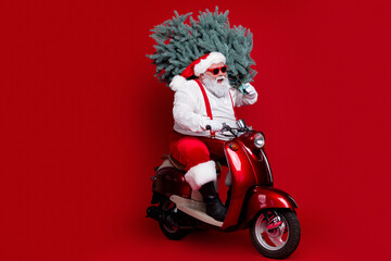 Naklejka premium Santa Claus riding a red scooter carrying a Christmas tree, wearing sunglasses and festive outfit against a vivid red background