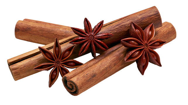 Dried cinnamon sticks and whole star anise spice pods