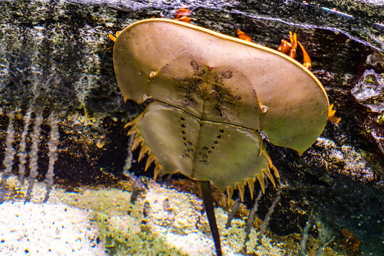 KUALA LUMPUR AQUARIA KLCC