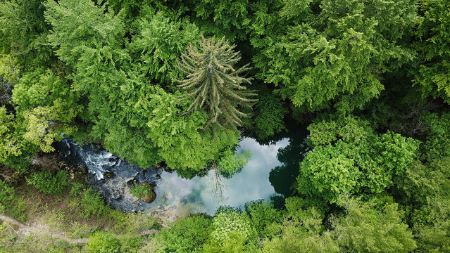 Aerial view of Source du Groin, a natural spring surrounded by lush green forest and a flowing river in Valromey-sur-Seran, Auvergne-Rhone-Alpes, France.