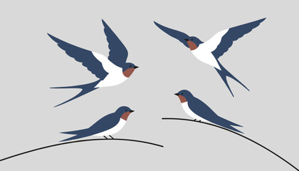 Obraz premium Swallows in flight and sitting on wires against a plain gray background, depicted in a clean minimalist vector illustration.