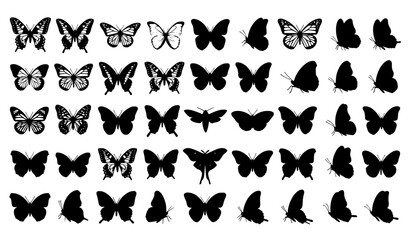 Fototapeta premium Lepidoptera Butterfly Silhouette Vector Collection