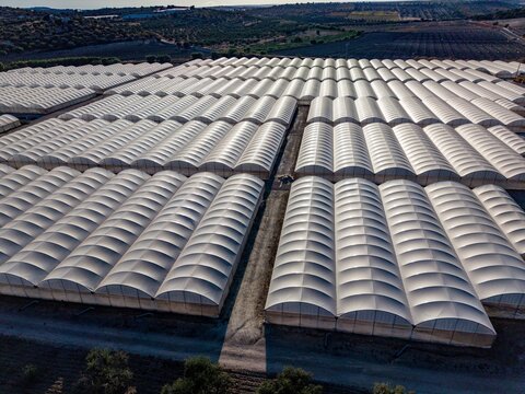 Aerial view of the agrivoltaic greenhouse complex with rows of white arched structures covering agricultural land in Modica, Sicily, Italy.