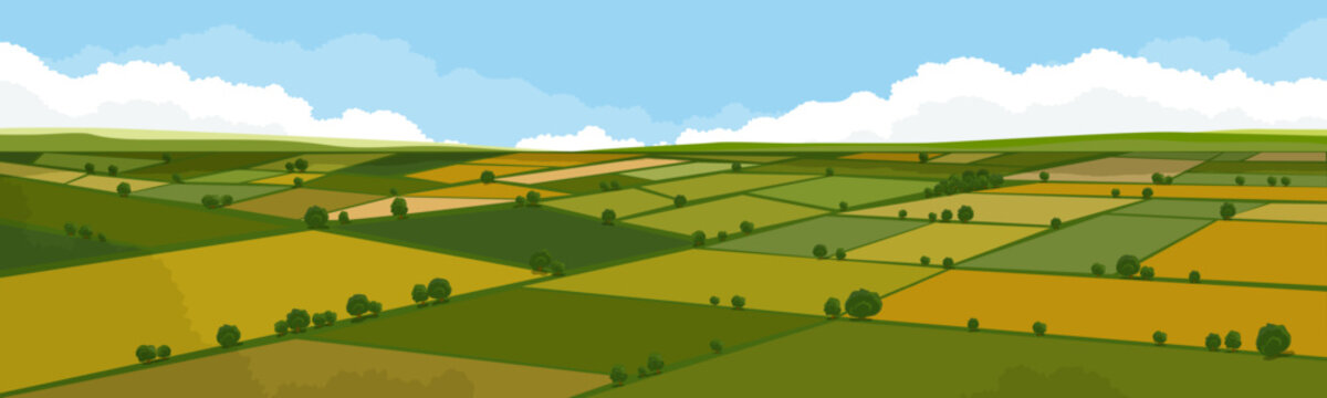 Spring landscape with green field and countryside farm, Summer agriculture scenery and panoramic rural nature, Autumn farmland with blue sky and clouds for seasonal background and vector illustration
