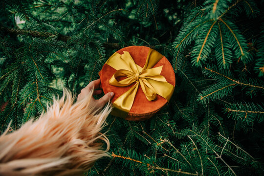 Woman's hand holding Christmas gift box with bow beside fir branch, side view