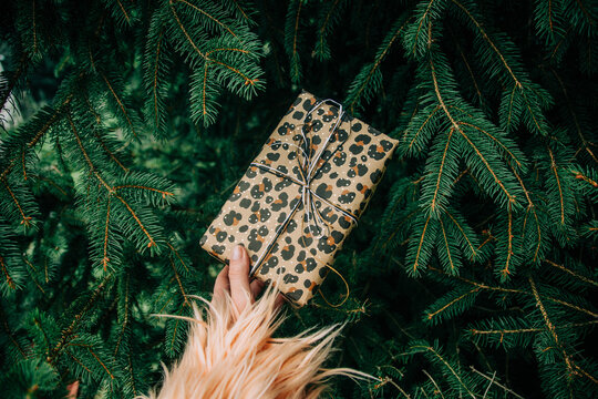 Woman's hand holding Christmas gift box with bow beside fir branch, side view
