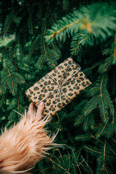 Woman's hand holding Christmas gift box with bow beside fir branch, side view