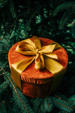Christmas gift box with bow beside fir branch, side view, stylish and luxurious