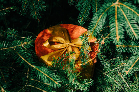 Christmas gift box with bow beside fir branch, side view, stylish and luxurious