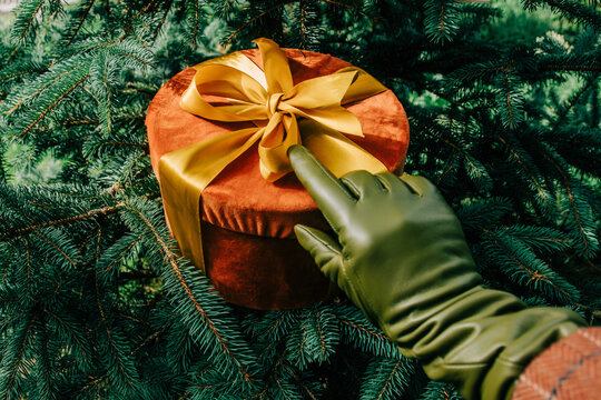 Woman's hand in green glove holding Christmas gift box with bow beside fir branch