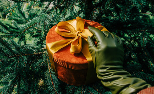 Woman's hand in green glove holding Christmas gift box with bow beside fir branch