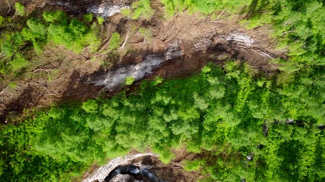 Aftermath of avalanche damage cutting through dense forest in Norway, revealing disturbed ground and vegetation surrounded by woodland, 4k drone panning view