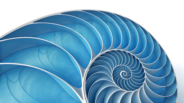 Cross section of a blue nautilus shell pattern