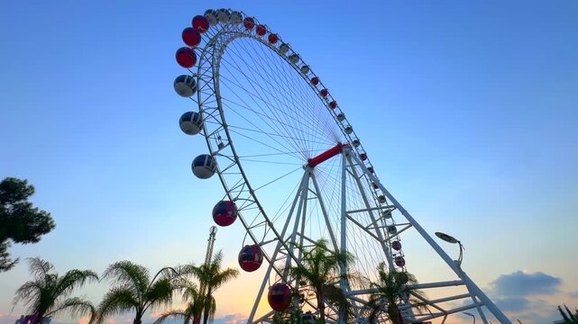 A large Ferris wheel stands against a clear blue sky. Palm trees are visible in the foreground, creating a vibrant amusement park atmosphere.