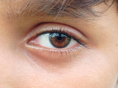 close up of a female eye with blue eyes