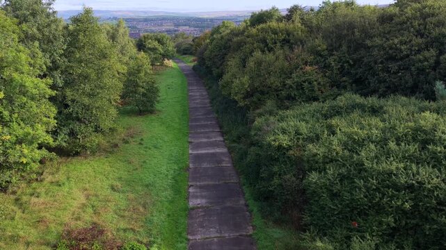 Aerial Video of Tree Canopy Woodland Trail and Pine Forest on Oldham Edge in Greater Manchester. 