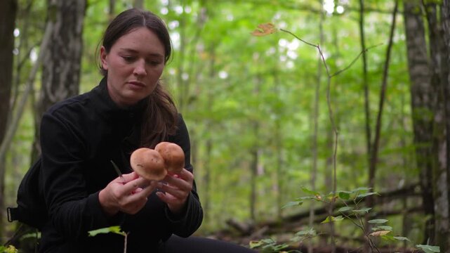Woman crouching in an autumn forest to inspect and smell harvested wild bolete mushrooms with a static camera shot.