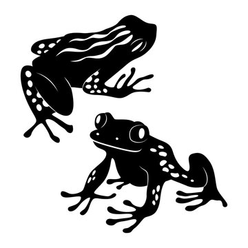 Frog Silhouette Collection
