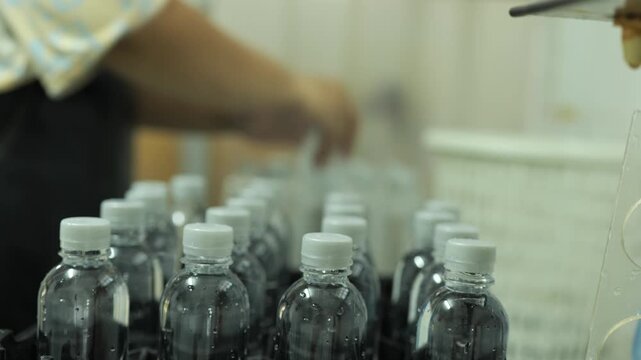 Hand inspecting rows of sealed drinking water bottles on a manual production line in a small-scale water bottling factory, workers checking quality before packaging, local water bottling small busines