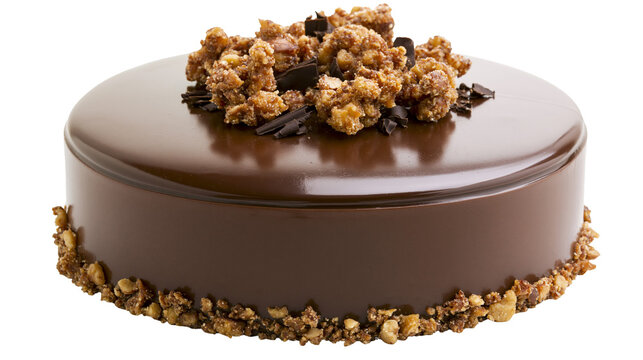 Round chocolate ganache cake topped with crunchy praline nuts and dark shavings