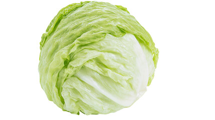 Fototapeta premium Fresh whole head of crisp iceberg lettuce with light green layered leaves