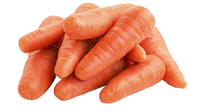 Fresh raw orange carrots piled together