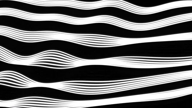 Abstract flowing zebra black and white wave background 