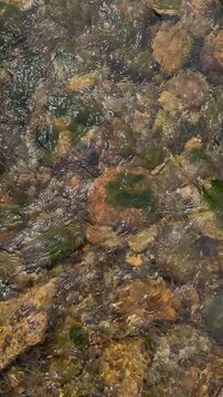 River Water Flowing Over Colorful Pebbles in Sunlit Shallows