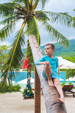 happy boy schoolchild posing by palm tree on the beach by the sea during summer vacation at tropical resort