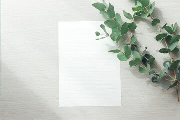 Eucalyptus Leaves and Blank Lined Paper on Light Wooden Background © 清美 小池