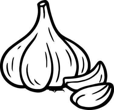 Hand drawn garlic bulb and clove outline illustration
